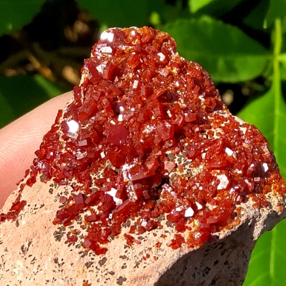 Vibrant Vanadinite Specimen - Picture 7 of 16